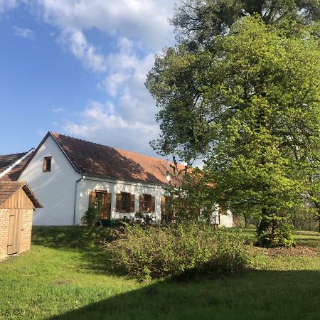 Sonnenhof Apartment Limbach im Burgenland Exterior foto
